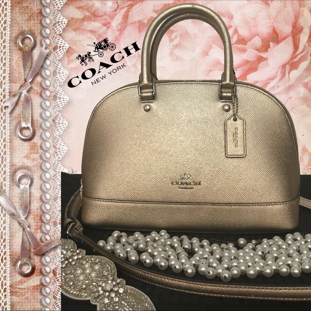 Coach mini satchel NWT (Platinum) leather